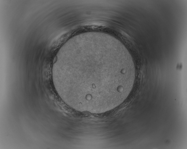 X0000111151014200907211158
