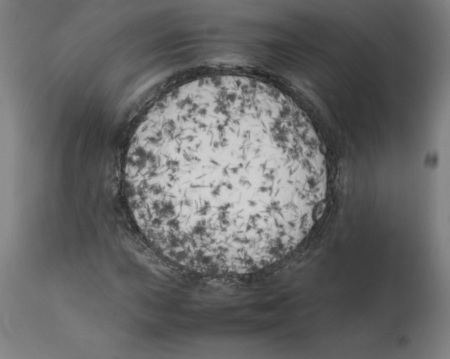 X0000111151015200907211158