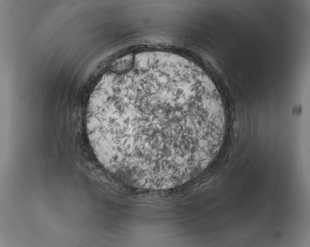 X0000111151016200907211158