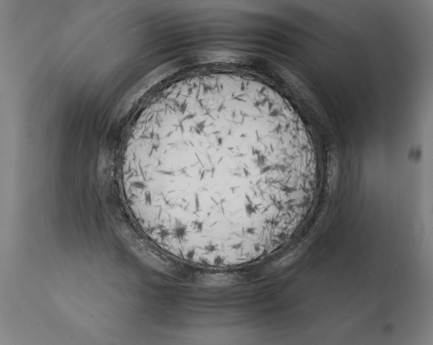 X0000111151017200907211158