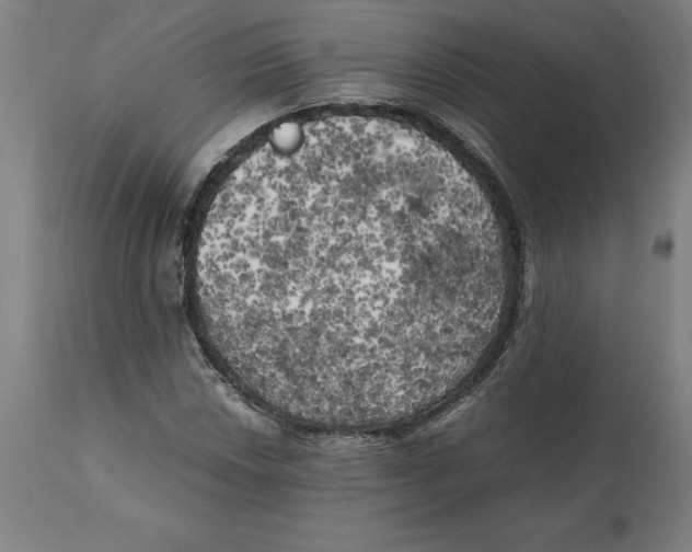X0000111151018200907211158
