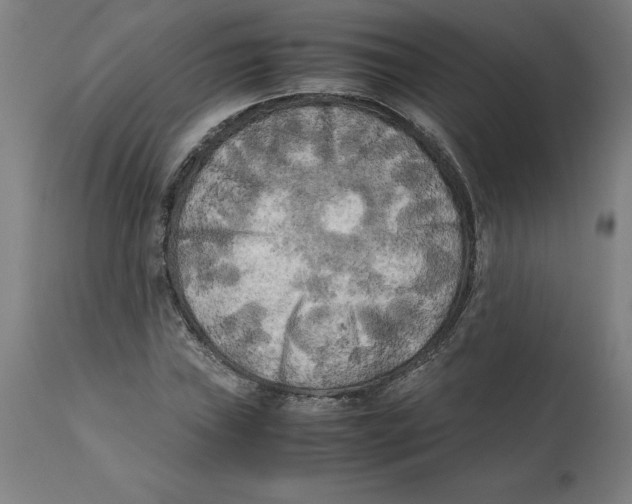 X0000111151019200907211158