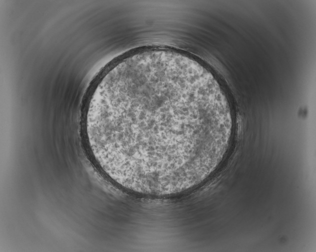 X0000111151020200907211158