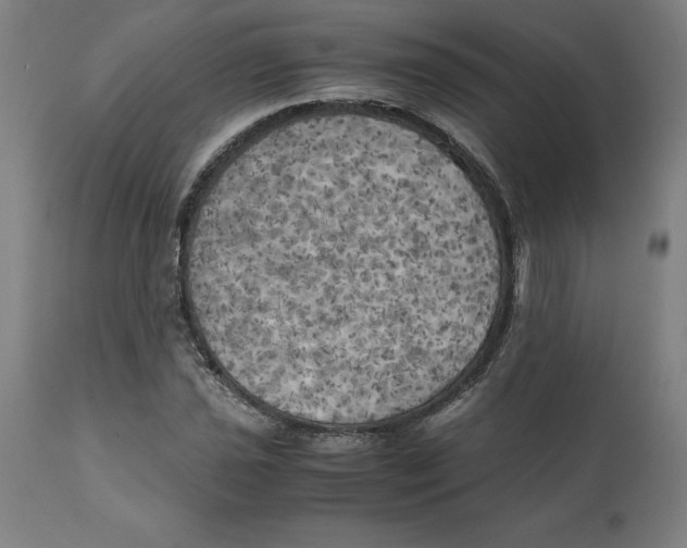 X0000111151021200907211158