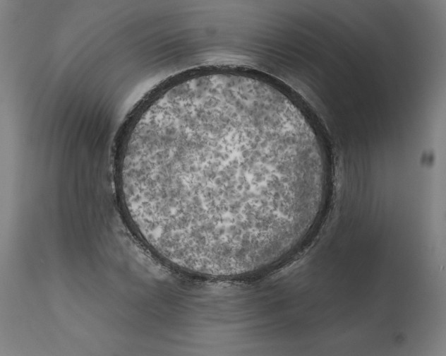 X0000111151022200907211158