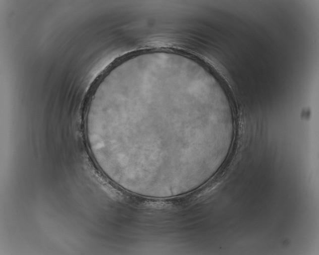X0000111151023200907211158