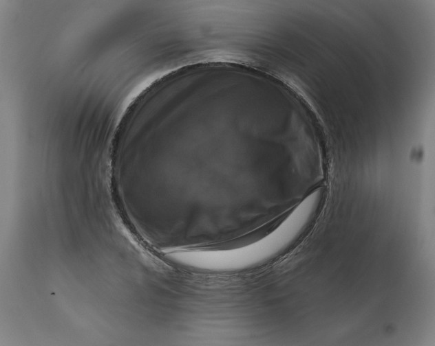 X0000111151024200907211158