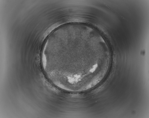 X0000111151025200907211158