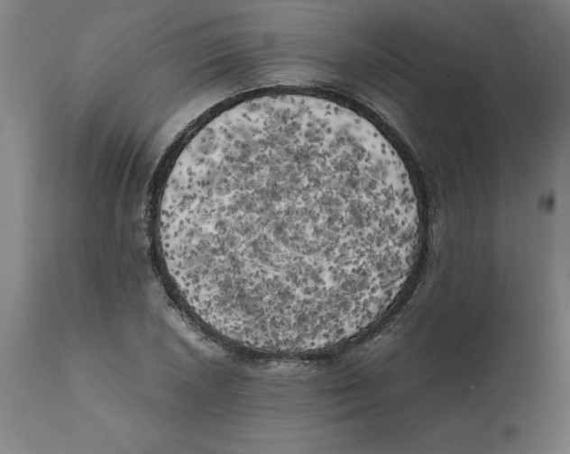 X0000111151026200907211158