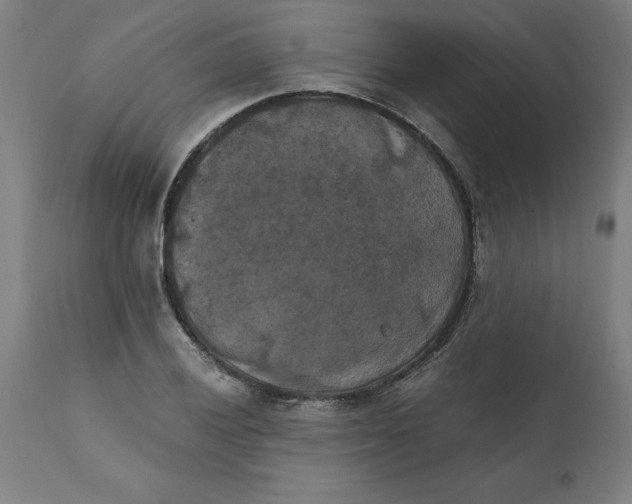 X0000111151028200907211158