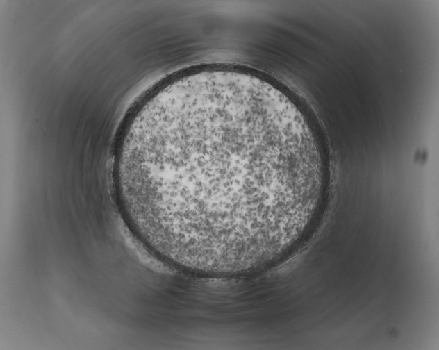 X0000111151029200907211158