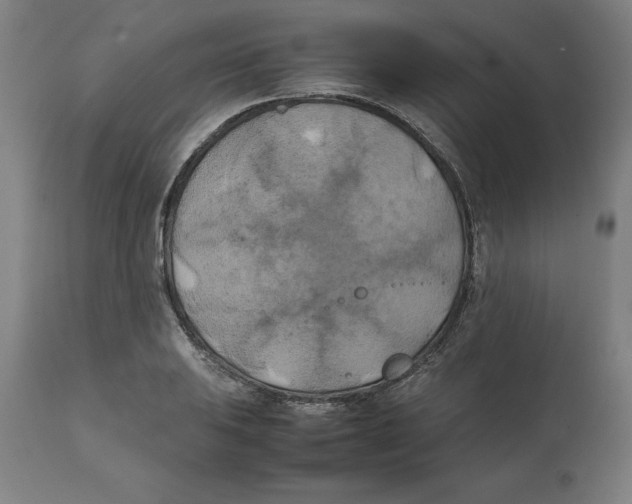 X0000111151031200907211158