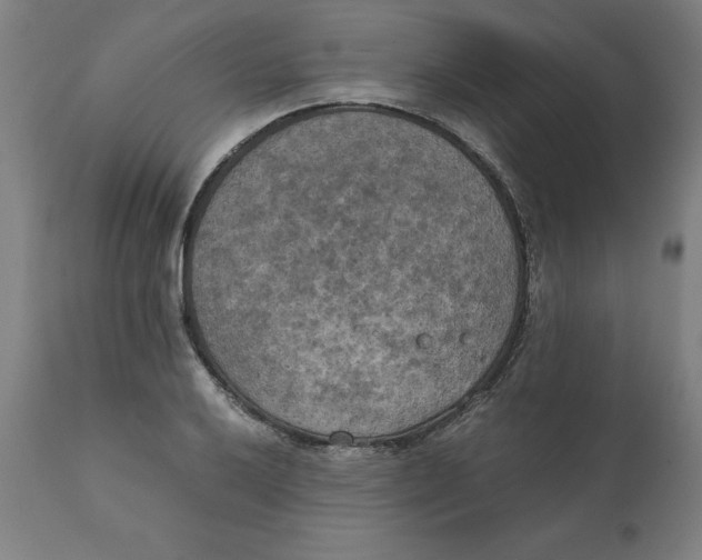 X0000111151032200907211158