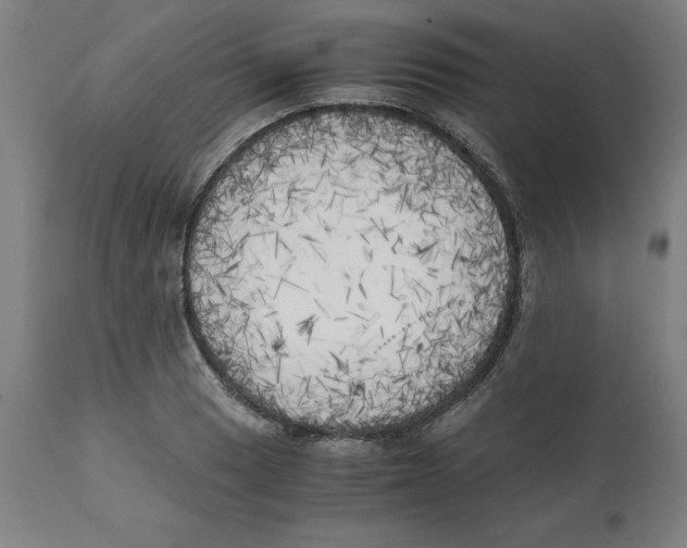 X0000111151033200907211158