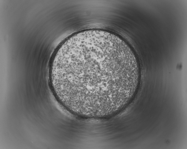 X0000111151034200907211158