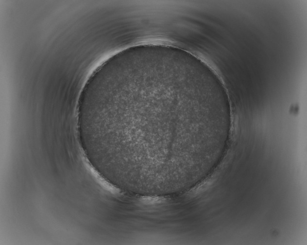 X0000111151037200907211158