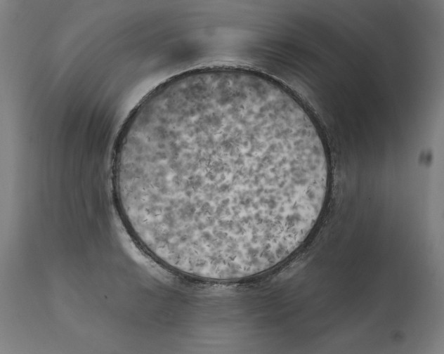 X0000111151038200907211158