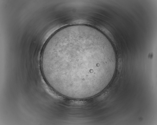 X0000111151039200907211158