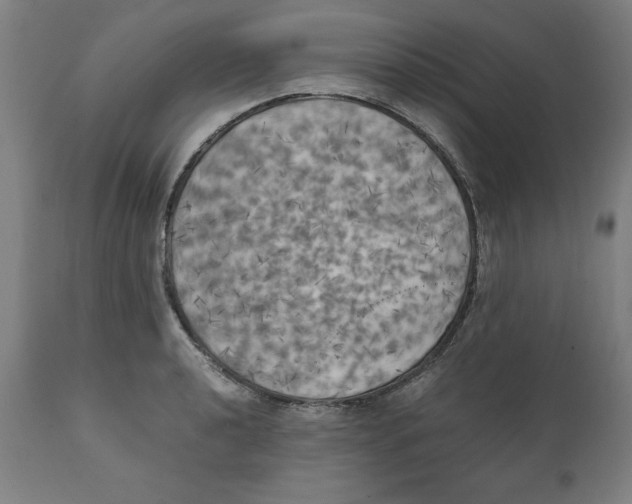 X0000111151040200907211158