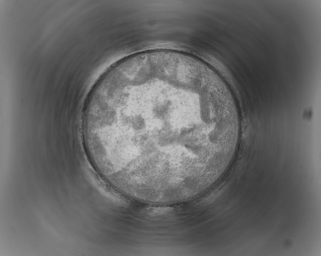 X0000111151043200907211158