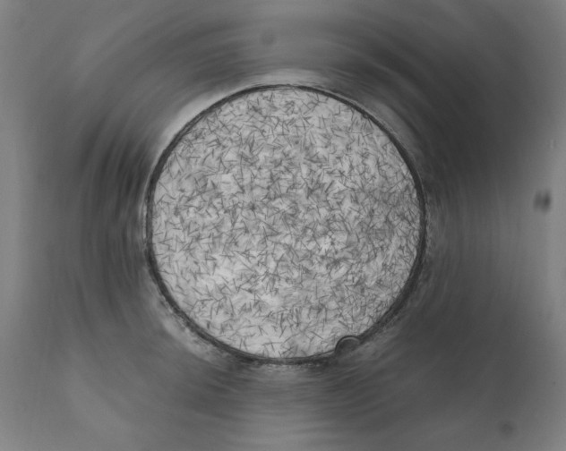 X0000111151044200907211158
