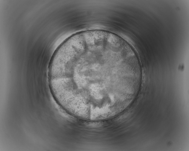 X0000111151047200907211158