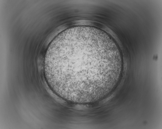 X0000111151049200907211158