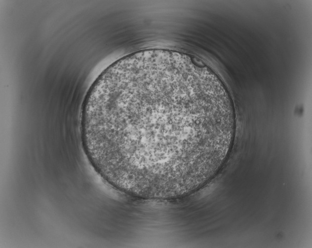 X0000111151050200907211158