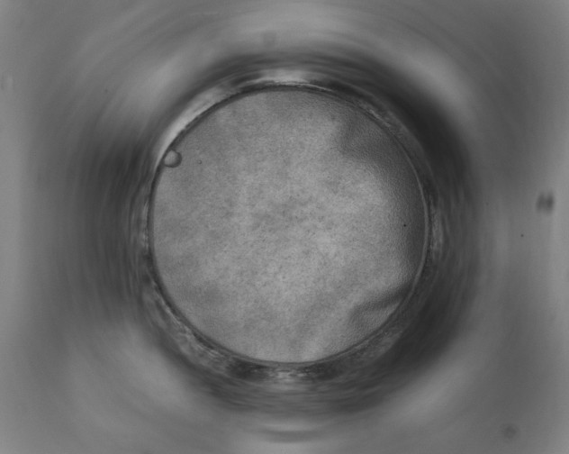 X0000111151052200907211158