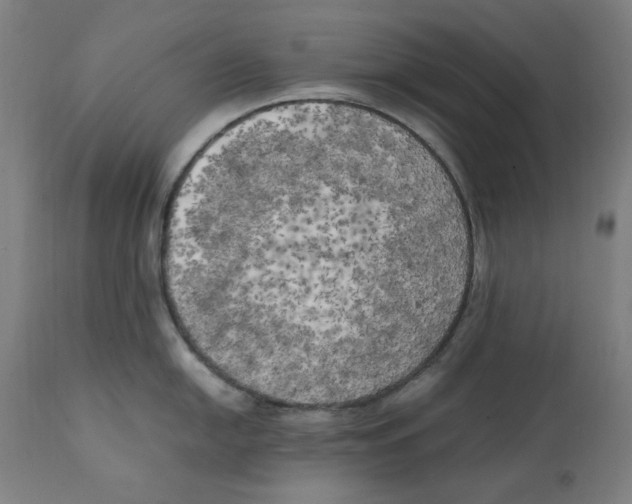 X0000111151054200907211158