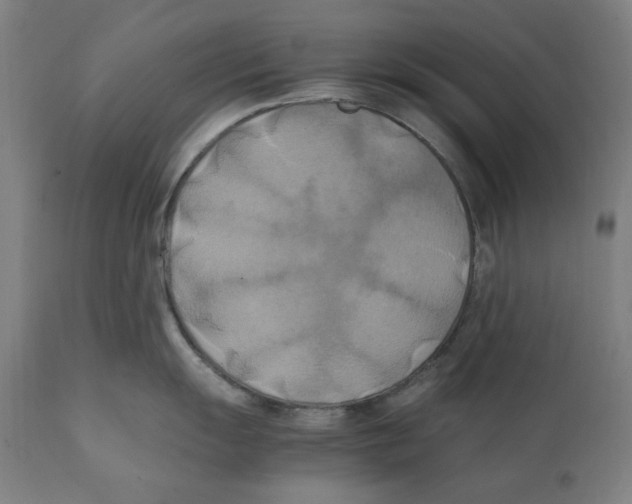 X0000111151055200907211158