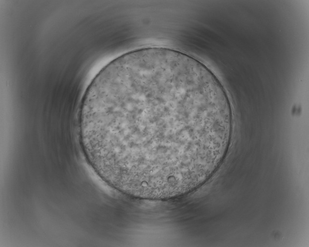 X0000111151056200907211158