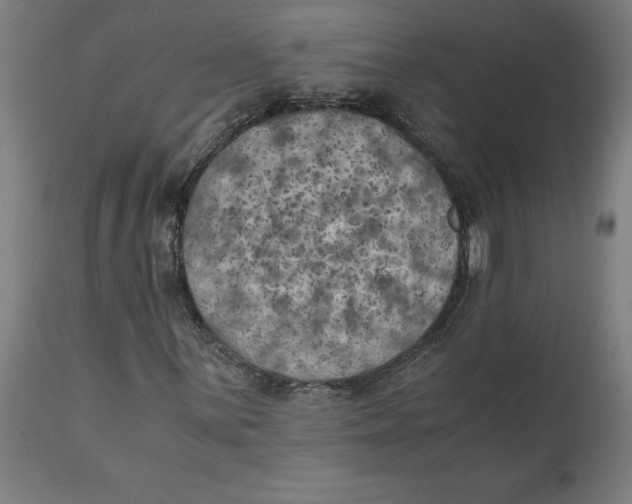 X0000111151059200907211158