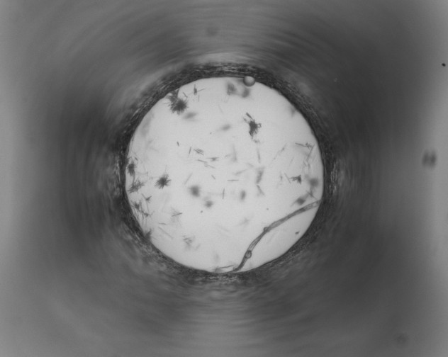 X0000111151062200907211157