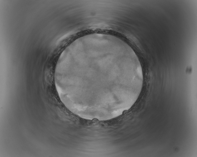 X0000111151063200907211157