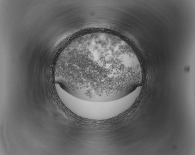 X0000111151064200907211157