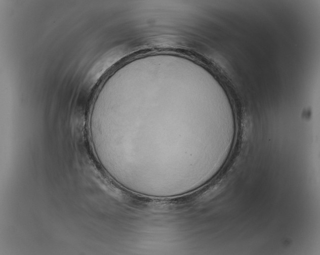 X0000111151065200907211157