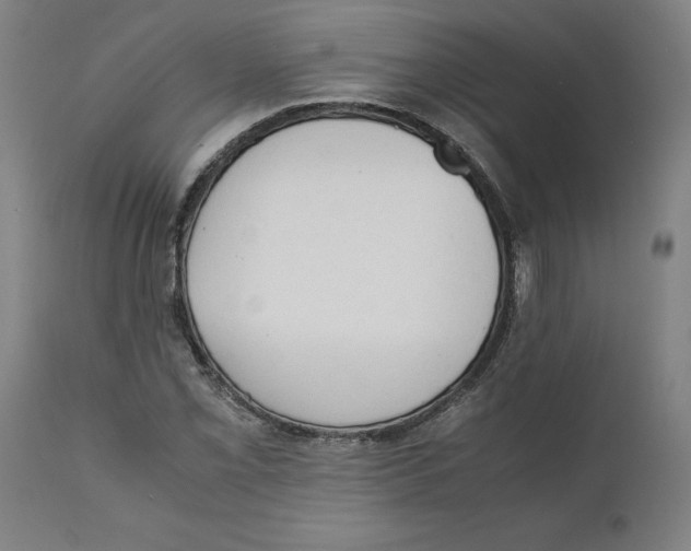 X0000111151069200907211157