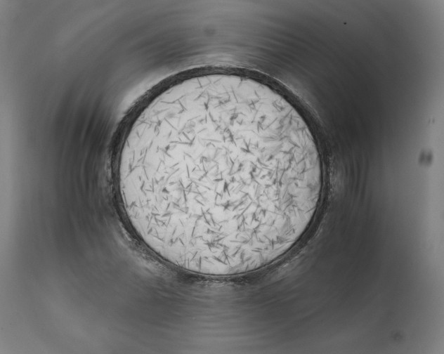 X0000111151070200907211157