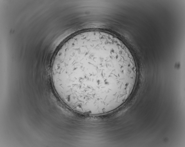 X0000111151073200907211157