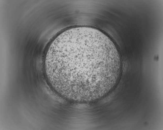 X0000111151074200907211157