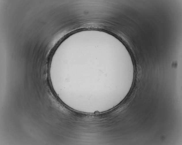 X0000111151075200907211157