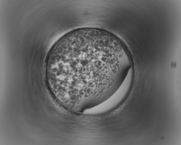 X0000111151077200907211157