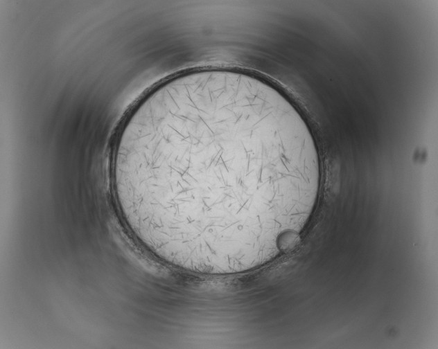 X0000111151078200907211157