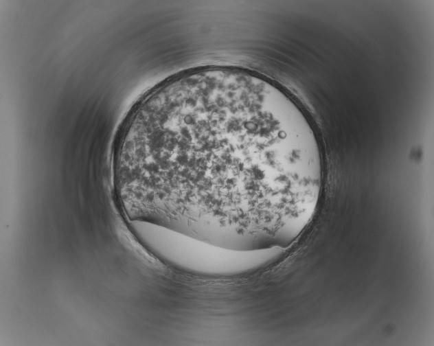 X0000111151080200907211157