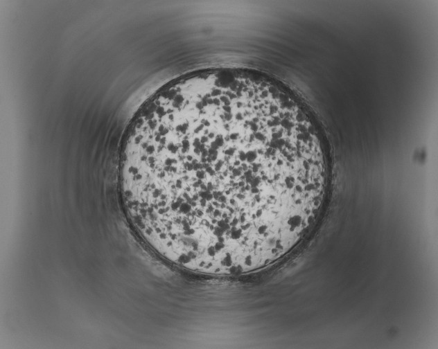 X0000111151081200907211157