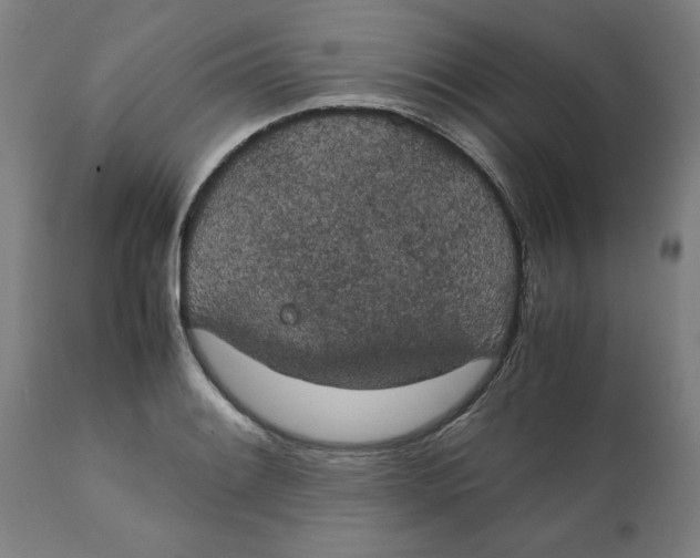X0000111151084200907211157