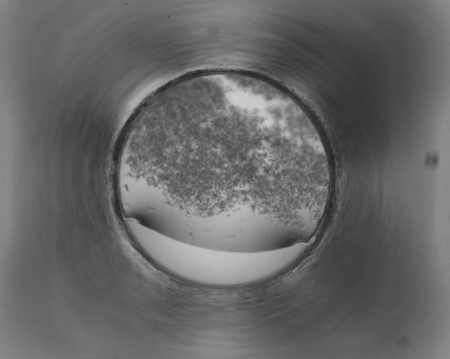 X0000111151085200907211157
