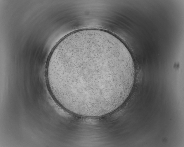 X0000111151086200907211157