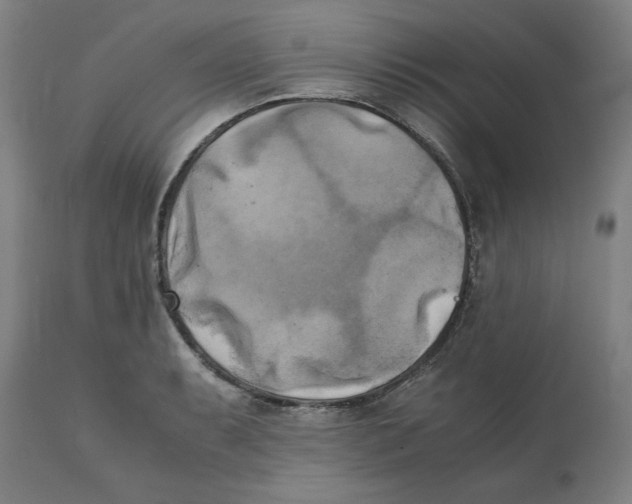 X0000111151087200907211157